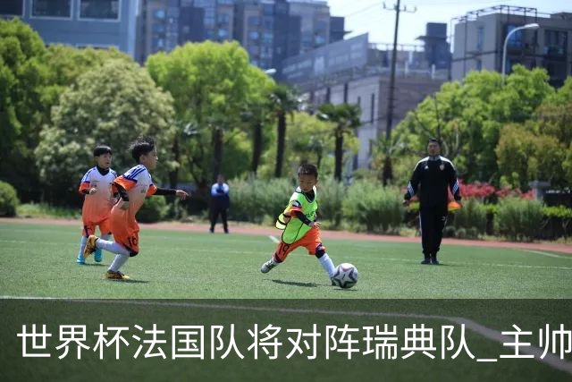 世界杯法国队将对阵瑞典队 主帅否认姆巴佩不防守