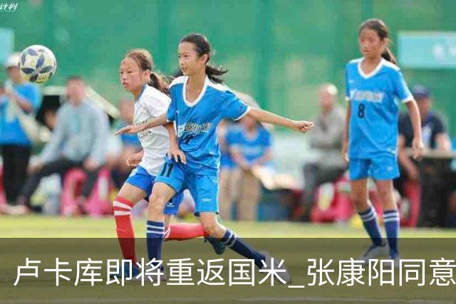 卢卡库即将重返国米 张康阳同意800万镑租借方案