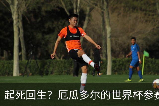 起死回生？厄瓜多尔的世界杯参赛名额可能给意大利